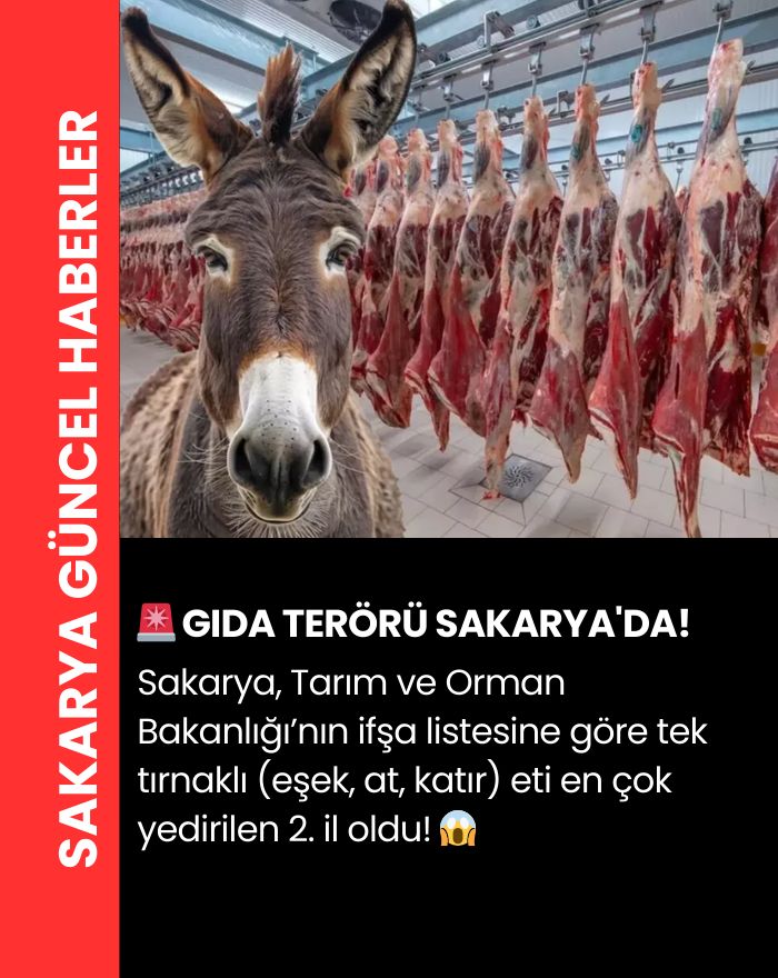 Gıda Teröristleri Yakalandı: Sakaryada Eşek Eti ve Sahte Kaşar Skandalı!